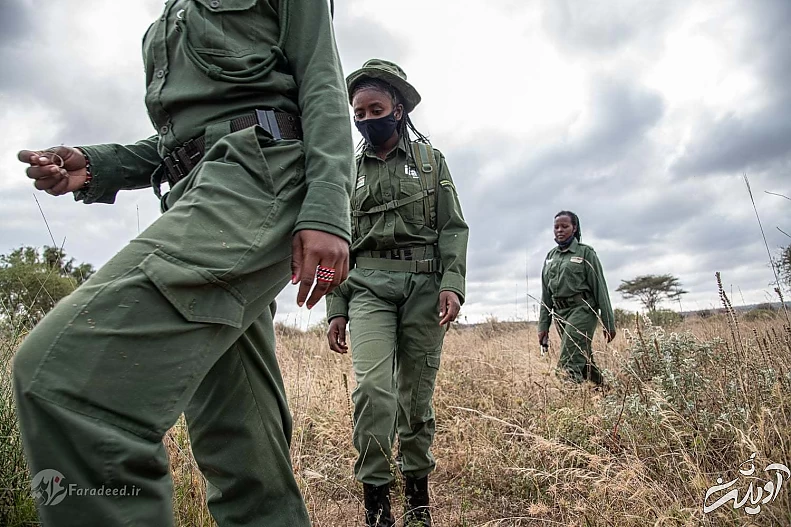 تصاویر/زنان محیط‌بانی که جان خود را برای حیات‌وحش به خطر می‌اندازند